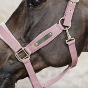 Kentucky Licol velours Rose Vieux Kentucky Licol velours Rose Vieux
