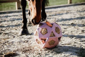 Kentucky Balle de Jeu Play & Hay Rose Vieux Kentucky Balle de Jeu Play & Hay Rose Vieux