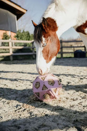 Kentucky Balle de Jeu Play & Hay Rose Vieux Kentucky Balle de Jeu Play & Hay Rose Vieux