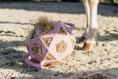 Kentucky Balle de Jeu Play & Hay Rose Vieux Kentucky Balle de Jeu Play & Hay Rose Vieux