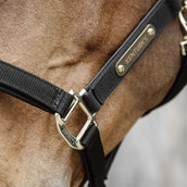 Kentucky Licol Anatomic Nylon Noir Kentucky Licol Anatomic Nylon Noir