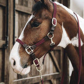 Kentucky Licol Plaited Nylon Bordeaux Kentucky Licol Plaited Nylon Bordeaux