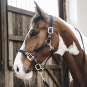 Kentucky Licol Plaited Nylon Marin Kentucky Licol Plaited Nylon Marin
