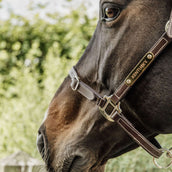 Kentucky Licol en Cuir artificiel Flexible Marron Kentucky Licol en Cuir artificiel Flexible Marron