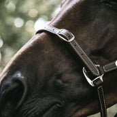 Kentucky Licol en Cuir artificiel Flexible Marron Kentucky Licol en Cuir artificiel Flexible Marron