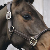 Kentucky Licou Bride Marron Kentucky Licou Bride Marron