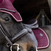 Kentucky Bonnet Anti-Mouches Wellington velours Bordeaux Kentucky Bonnet Anti-Mouches Wellington velours Bordeaux