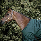 Kentucky Couverture Turnout All Weather 160g Vert Foncé Kentucky Couverture Turnout All Weather 160g Vert Foncé