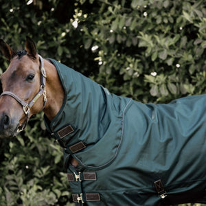 Kentucky Couverture Turnout All Weather 160g Vert Foncé Kentucky Couverture Turnout All Weather 160g Vert Foncé