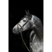 Covalliero Bonnet Anti-Mouches Empara Noir Covalliero Bonnet Anti-Mouches Empara Noir