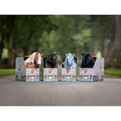 LeMieux Toy Pony Freya Marron LeMieux Toy Pony Freya Marron