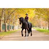 LeMieux Tapis de Selle Essence Dressage Noir LeMieux Tapis de Selle Essence Dressage Noir