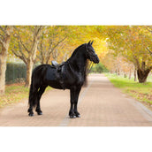LeMieux Tapis de Selle Essence Dressage Noir LeMieux Tapis de Selle Essence Dressage Noir