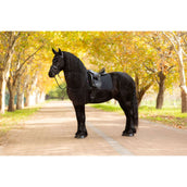 LeMieux Tapis de Selle Essence Dressage Noir LeMieux Tapis de Selle Essence Dressage Noir