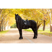LeMieux Tapis de Selle Essence Dressage Noir LeMieux Tapis de Selle Essence Dressage Noir