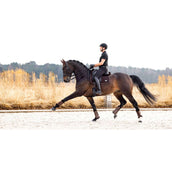 LeMieux Tapis de Selle de Dressage Puissance Suede Marron LeMieux Tapis de Selle de Dressage Puissance Suede Marron