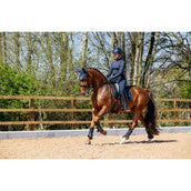 LeMieux Tapis de Selle Puissance Suede Dressage Marin LeMieux Tapis de Selle Puissance Suede Dressage Marin