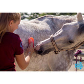 Agradi Horse Magic Brush Brosse Vert Foncé Agradi Horse Magic Brush Brosse Vert Foncé