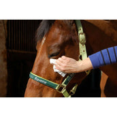 Ravene Easy Shine Lingettes Ravene Easy Shine Lingettes