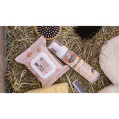 Ravene Easy Shine Lingettes Ravene Easy Shine Lingettes