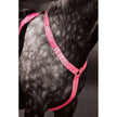 Fluor Rose