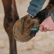 Agradi Horse Cure-Pied Fir Green Agradi Horse Cure-Pied Fir Green