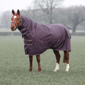 Tempest by Shires Couverture d'Hiver Turnout Typhoon 100g Black Cherry Tempest by Shires Couverture d'Hiver Turnout Typhoon 100g Black Cherry