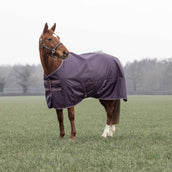 Tempest by Shires Couverture d'Hiver Turnout Typhoon 100g Black Cherry Tempest by Shires Couverture d'Hiver Turnout Typhoon 100g Black Cherry