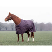 Tempest by Shires Couverture d'Hiver Turnout Typhoon 100g Black Cherry Tempest by Shires Couverture d'Hiver Turnout Typhoon 100g Black Cherry