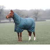 Tempest by Shires Couverture d'Hiver Turnout Typhoon 200g Vert Tempest by Shires Couverture d'Hiver Turnout Typhoon 200g Vert