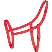 Waldhausen Licol Pâture Rouge Waldhausen Licol Pâture Rouge