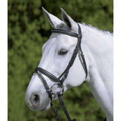 Star Bridon Diamond Anglais Combiné Noir Star Bridon Diamond Anglais Combiné Noir