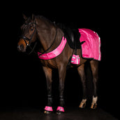 Imperial Riding Collier de Chasse IRHReflective Rose Imperial Riding Collier de Chasse IRHReflective Rose