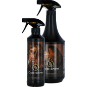 BR Couche Brillance Spray BR Couche Brillance Spray