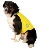 Excellent Dog Safety Veste Nightwalk Jaune Excellent Dog Safety Veste Nightwalk Jaune