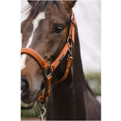 LeMieux Hobby Horse Vogue Ensemble Licol Rouille LeMieux Hobby Horse Vogue Ensemble Licol Rouille
