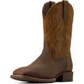 Ariat Bottes Western Sport Riggs H2O Hommes Copper Kettle/Espresso Tan Ariat Bottes Western Sport Riggs H2O Hommes Copper Kettle/Espresso Tan