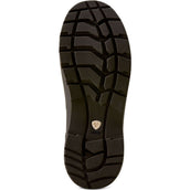 Ariat Jodhpurs Kelmarsh Shortie Femme Chocolate/Tan Twill Ariat Jodhpurs Kelmarsh Shortie Femme Chocolate/Tan Twill