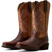 Ariat Bottes Western Round Up NcToe Femme Espresso Ariat Bottes Western Round Up NcToe Femme Espresso