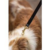 BR Laisse pour Chien Noir BR Laisse pour Chien Noir