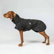Back on Track Veste pour Chien BARK Noir/Gris Back on Track Veste pour Chien BARK Noir/Gris