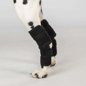 Back on Track Protecteur de jarret Dixie Chien Noir Back on Track Protecteur de jarret Dixie Chien Noir