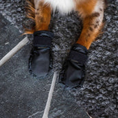Back on Track Chaussures pour Chien Koda Noir Back on Track Chaussures pour Chien Koda Noir