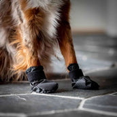Back on Track Chaussures pour Chien Koda Noir Back on Track Chaussures pour Chien Koda Noir