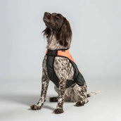 Back on Track Veste pour Chien TRAKK Réfléchissant Orange Back on Track Veste pour Chien TRAKK Réfléchissant Orange