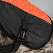 Back on Track Veste pour Chien TRAKK Réfléchissant Orange Back on Track Veste pour Chien TRAKK Réfléchissant Orange