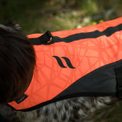 Back on Track Veste pour Chien TRAKK Réfléchissant Orange Back on Track Veste pour Chien TRAKK Réfléchissant Orange