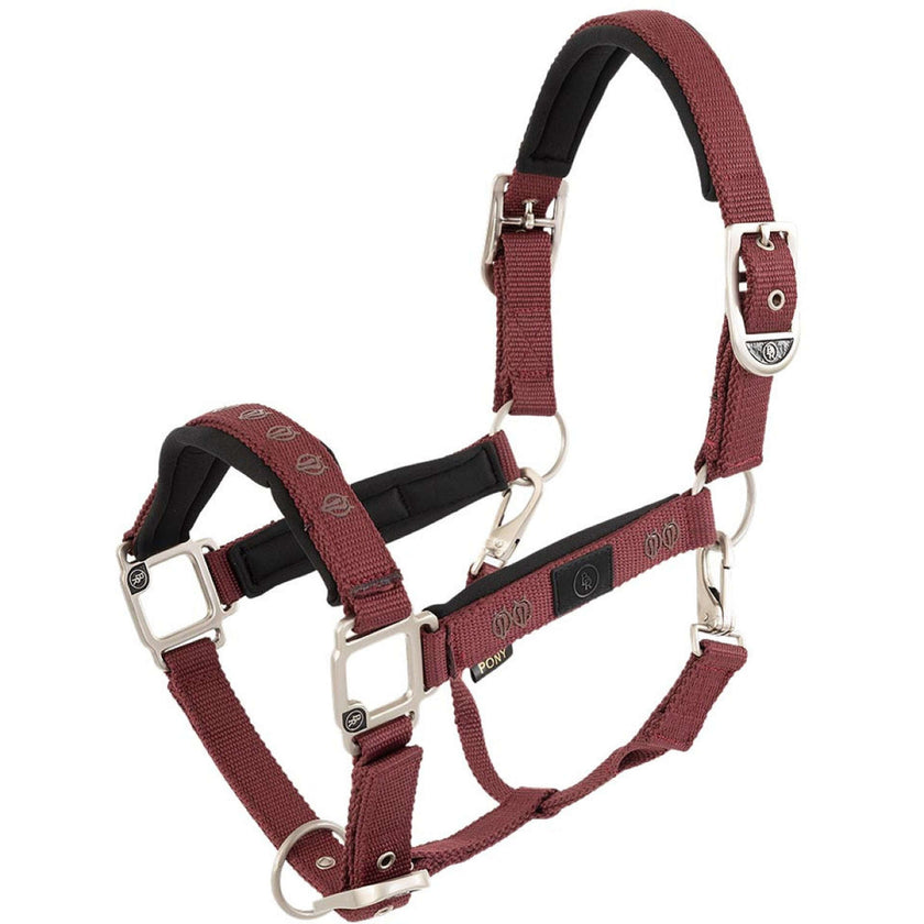 BR Licol Eevolv Karin New Maroon BR Licol Eevolv Karin New Maroon