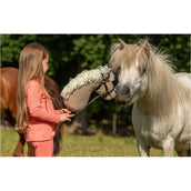 BR Mini Horse Hobby Horse Beige BR Mini Horse Hobby Horse Beige