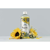 Stübben Brush On Spray Sunflower Refill Stübben Brush On Spray Sunflower Refill